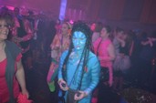 Photo 221 - Carnavo