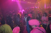 Photo 282 - Carnavo