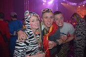Photo 335 - Carnavo