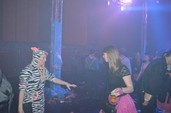 Photo 348 - Carnavo