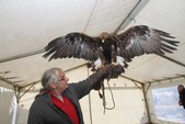 Photo 130 - Les Mordus foire d'hiver