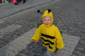 Photo 34 - Carnaval de Tournai