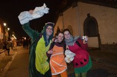 Photo 249 - Carnaval de Tournai