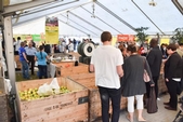 Photo 5 - Fête de la pomme