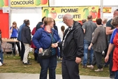Photo 14 - Fête de la pomme