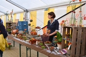 Photo 21 - Fête de la pomme