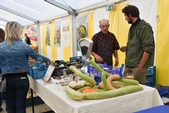 Photo 23 - Fête de la pomme