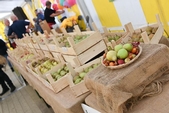 Photo 25 - Fête de la pomme