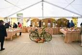 Photo 26 - Fête de la pomme