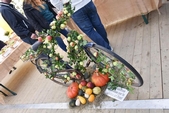Photo 28 - Fête de la pomme