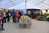 Photo 30 - Fête de la pomme