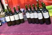 Photo 43 - Fête de la pomme