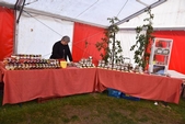 Photo 72 - Fête de la pomme