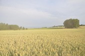 Photo 7 - Week-end du 4x4 de Maulde - dimanche suite