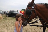 Photo 6 - Week-end du 4x4 de Maulde - dimanche