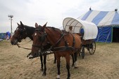 Photo 7 - Week-end du 4x4 de Maulde - dimanche