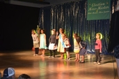 Photo 165 - Remise des echarpes Miss Dottignies