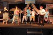 Photo 341 - karaoké 