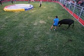 Photo 10 - Popuelles - Feria   Soirée