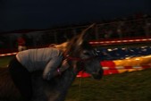 Photo 36 - Popuelles - Feria   Soirée