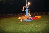 Photo 44 - Popuelles - Feria   Soirée