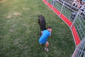Photo 11 - Popuelles - Feria  Soirée