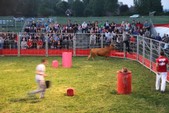 Photo 19 - Popuelles - Feria  Soirée