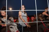 Photo 32 - Popuelles - Feria  Soirée