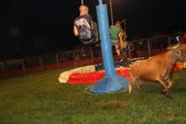 Photo 46 - Popuelles - Feria  Soirée