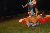 Photo 47 - Popuelles - Feria  Soirée