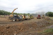 Photo 72 - La moisson des Minions