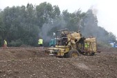 Photo 99 - La moisson des Minions