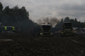 Photo 103 - La moisson des Minions