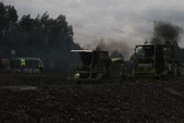 Photo 104 - La moisson des Minions