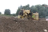 Photo 114 - La moisson des Minions