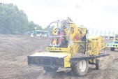 Photo 123 - La moisson des Minions
