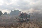 Photo 126 - La moisson des Minions