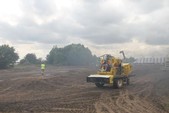 Photo 127 - La moisson des Minions