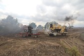 Photo 128 - La moisson des Minions
