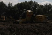Photo 181 - La moisson des Minions