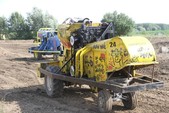 Photo 236 - La moisson des Minions