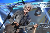 Photo 15 - Concert Louis Bertignac