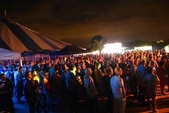 Photo 69 - Concert Louis Bertignac