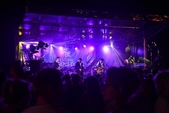 Photo 87 - Concert Louis Bertignac