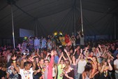 Photo 281 - Summer Party