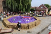 Photo 201 - Course de lits