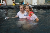 Photo 326 - Course de lits