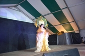 Photo 50 - Fête de L'penn'tière d'ichi