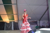 Photo 64 - Fête de L'penn'tière d'ichi