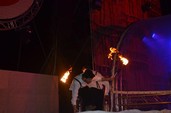 Photo 938 - So W'Happy Festival 1-2